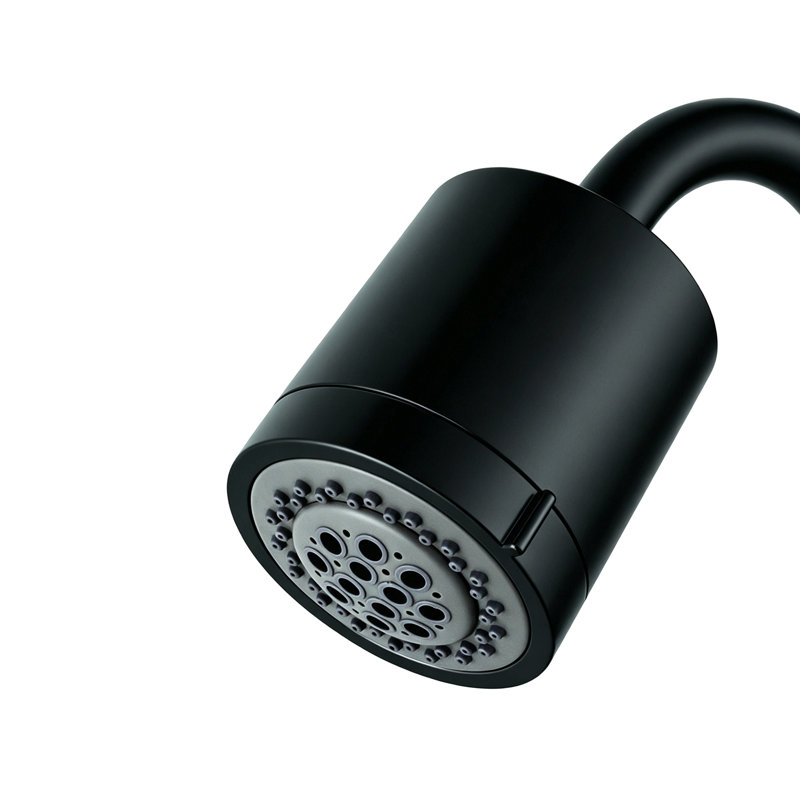 Pomme de douche ronde 3/16/2 pouces en ABS Kingston Kingston, Noir mat