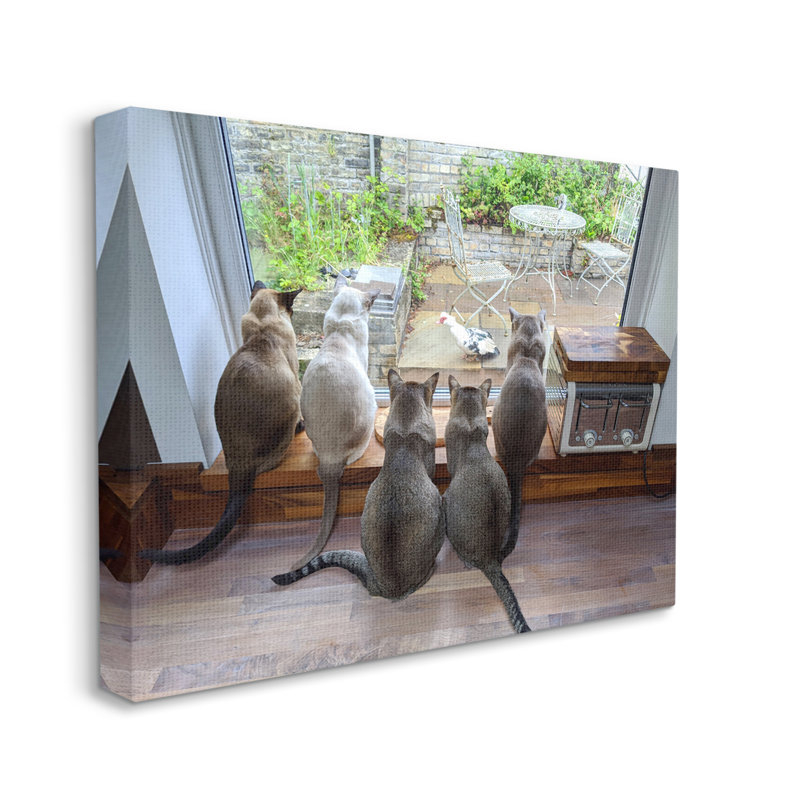 Art mural sur toile "Chats regardant un oiseau à la fenêtre" par Beth Noble, H 30 po x l 40 po x P 1,5 po