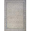 Oriental Area Rug in Blue/Beige