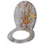 Soft Close Elongated Standard Toilet Seat