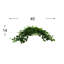 Plante de 14 po