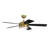 52'' Ceiling Fan with LED Lights-827509880