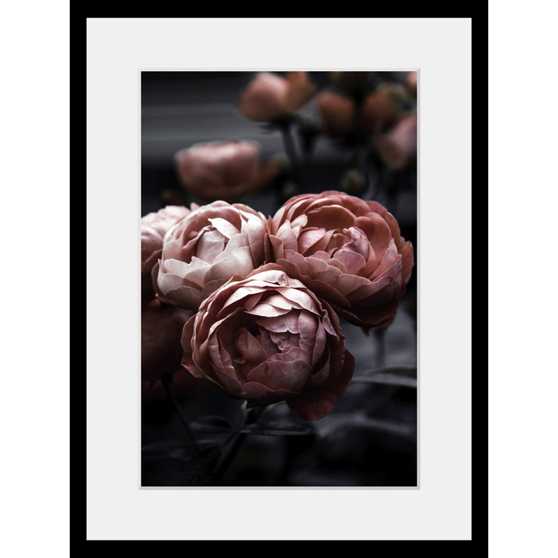 Rose - Single Picture Frame Print
