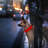 Dog Collar-98497196