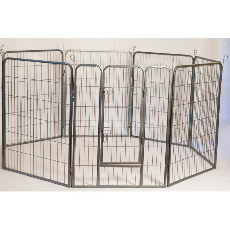 Enclos pour chien Darla, H 48 po x l 85 po x L 85 po