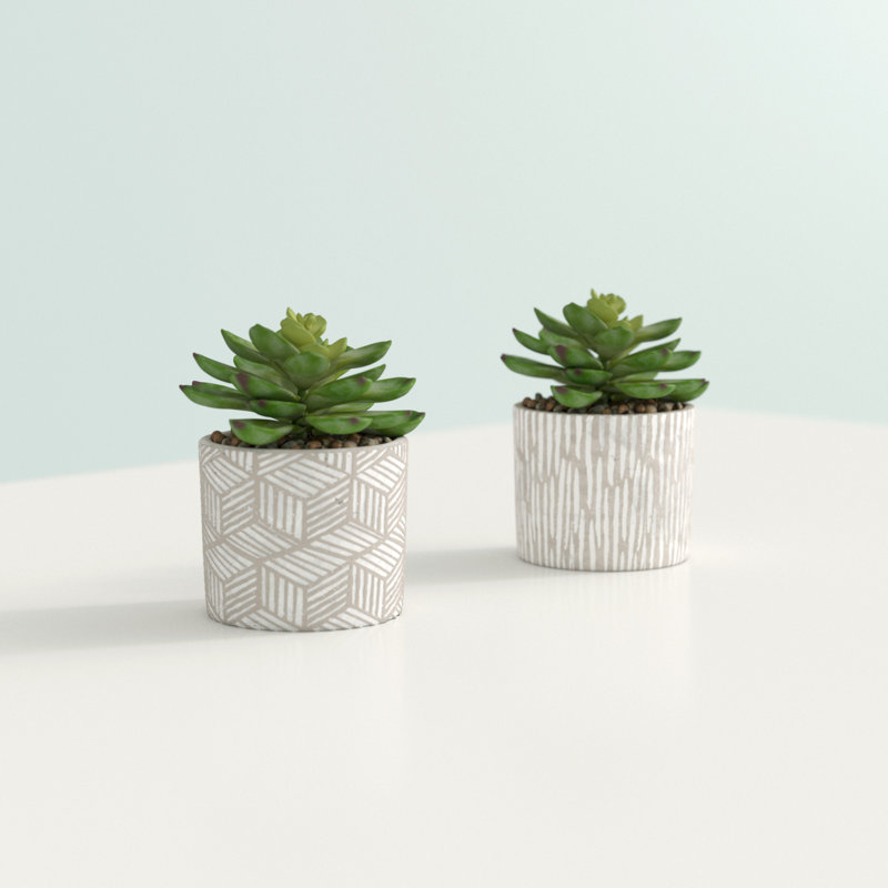 Ensemble de 2 plantes succulent artificielles en pot