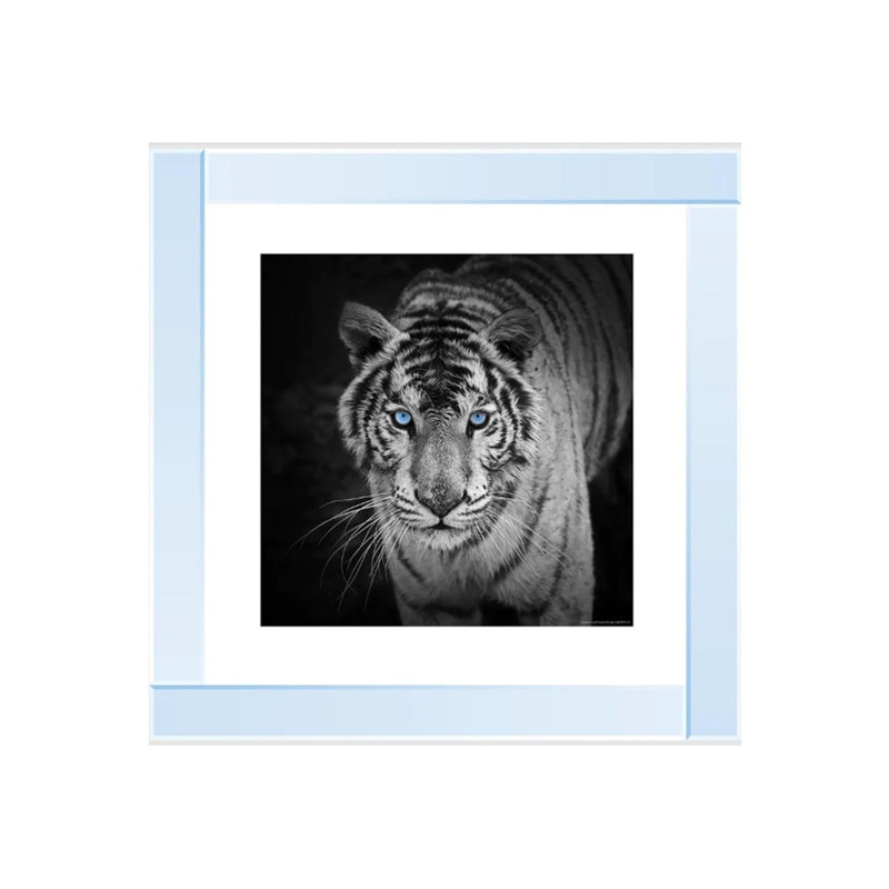 Mirror Frame Print on Canvas