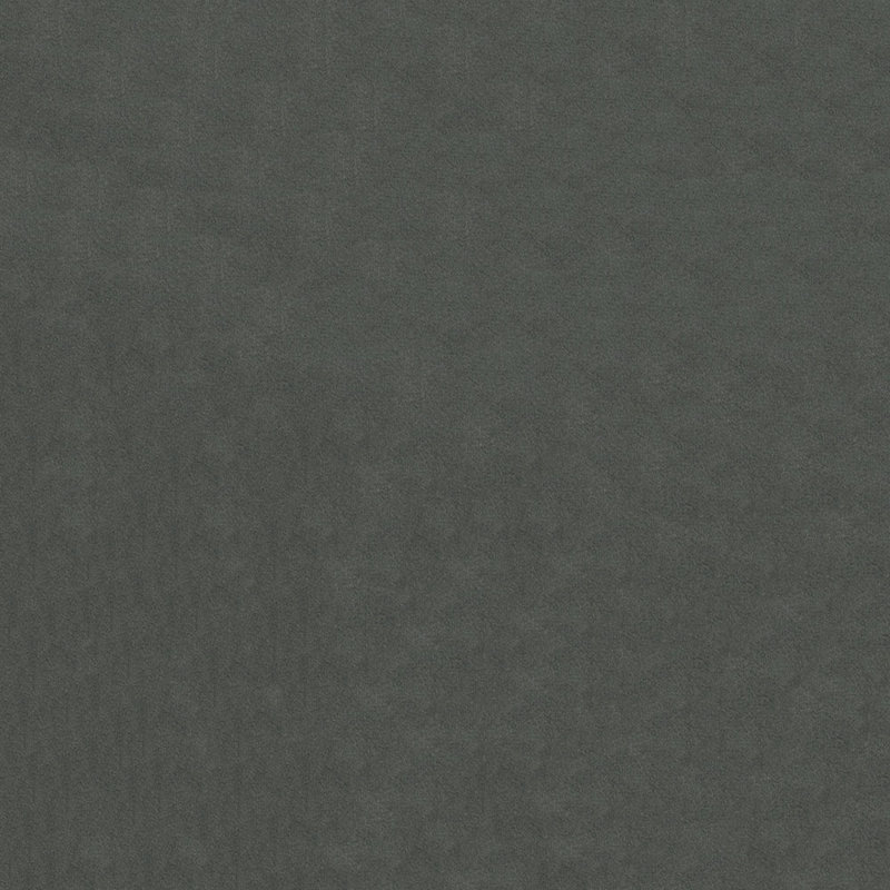Tissu Benjamin, Acier