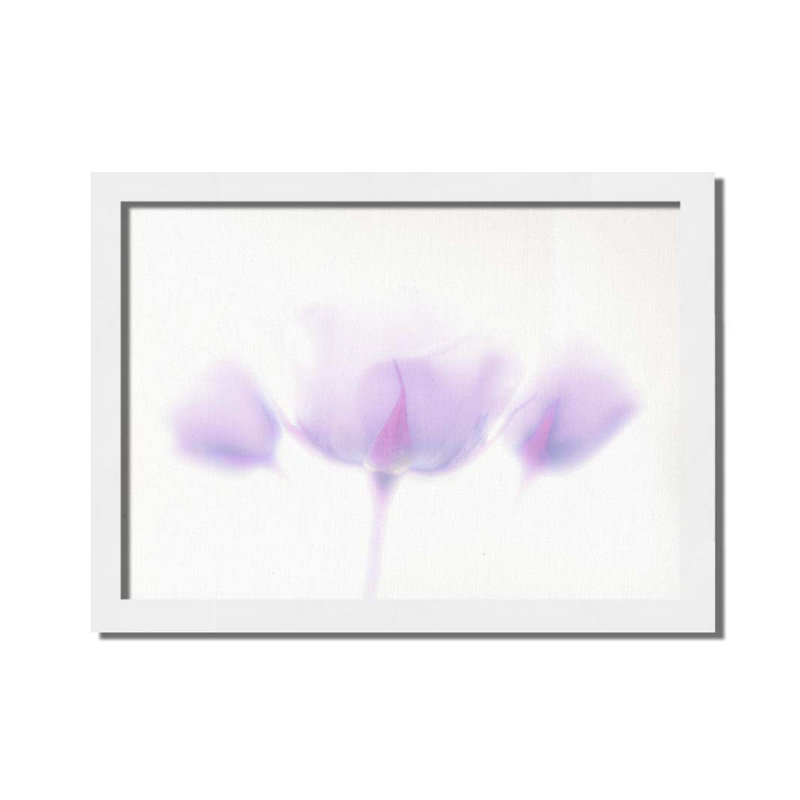 Trois roses lavande par Hal Halli. Impression sur papier - Montée et encadrée, H 34 po x l 44 po