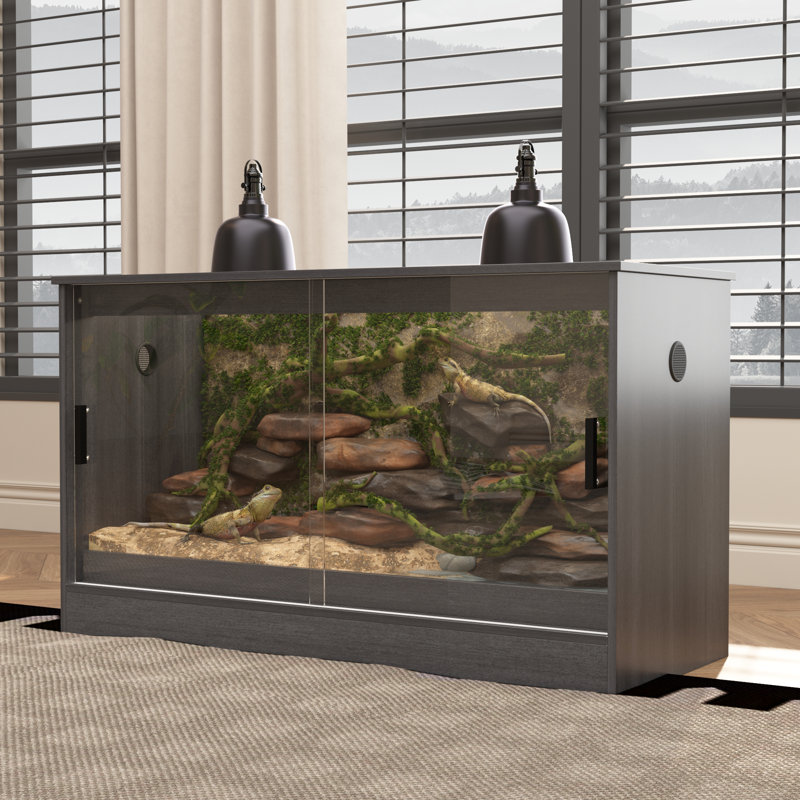 Reptile terrarium, Noir