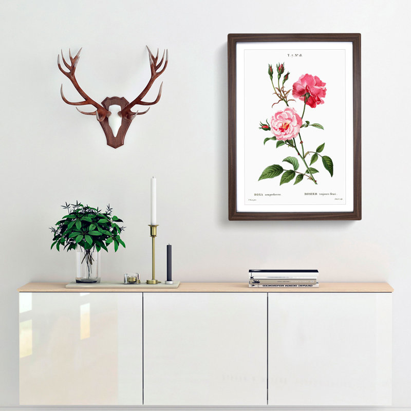 Ever-blowing Pink Roses by Pierre-Joseph Redoute - Picture Frame Painting Print, Walnut Framed, 65cm H x 48cm W x 2cm D