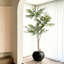 Plantes artificielles réalistes pour la décoration intérieure-1855355593