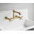 Gourmetier 20.19" x 18.5" Wall Mounted Laundry Sink