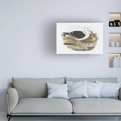 Bolognaise «Seabird Jumelage I» sur toile