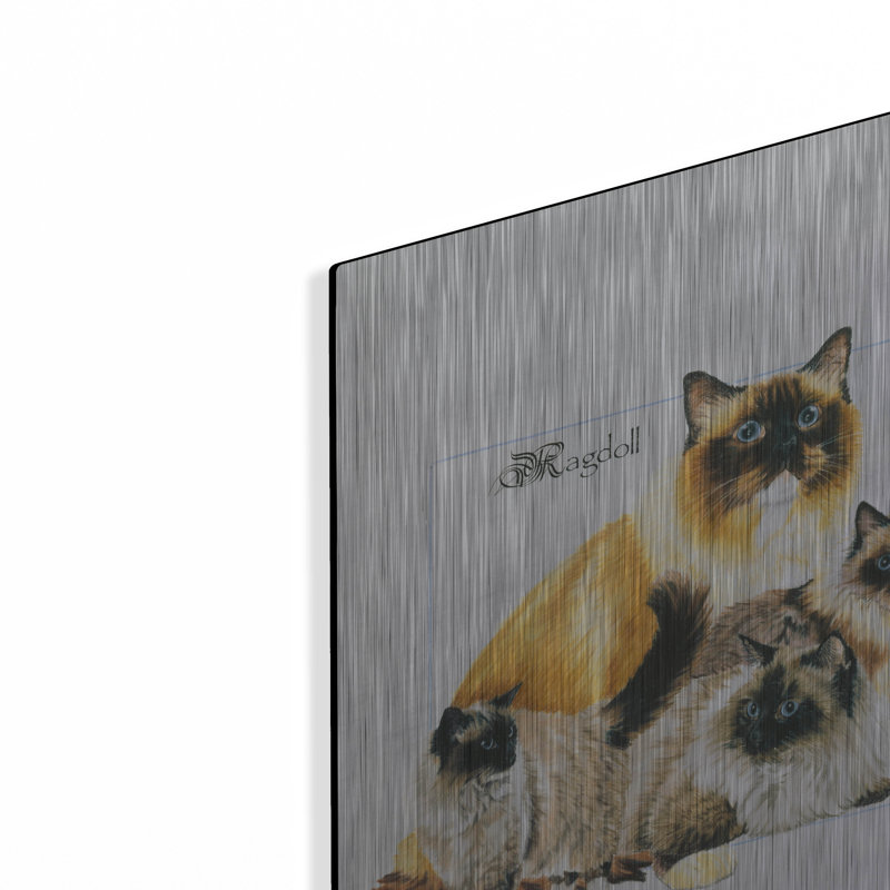 "Ragdoll" par Barbara Keith, H 16 po x l 12 po