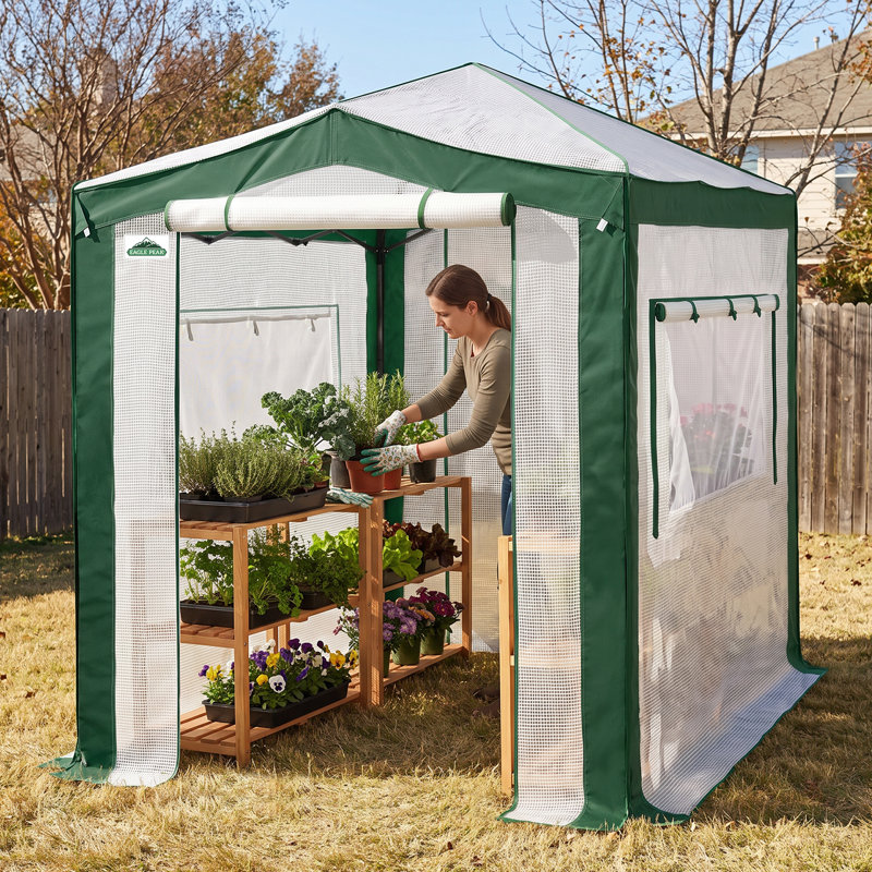 6' W x 8' D Hobby Greenhouse, White/Green