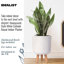Concrete Effect Cylinder Round Planter on Hardwood Legs, Round Indoor Plant Pot Stand for Indoor Plants, Indoor Flower Pot with Honeycomb Pattern-89142826-89142825