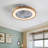 Riemy 20'' Ceiling Fan with LED Lights