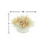 Faux Pampas Grass Grass in Ceramic Vase