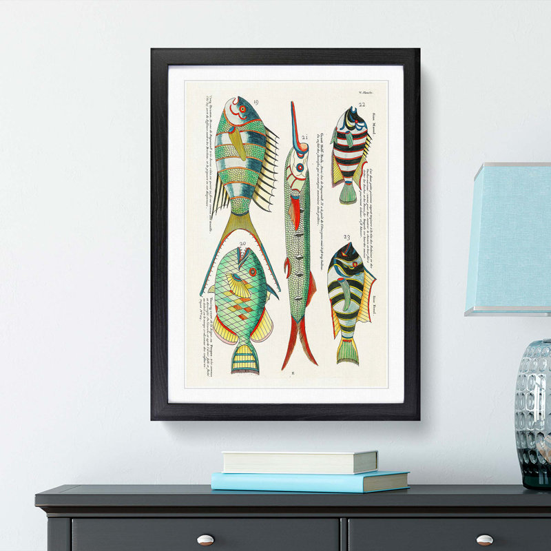 East Indies Fish Illustrations V by Louis Renard - Picture Frame Graphic Art Print, 36cm H x 27cm W x 2cm D, Black Framed