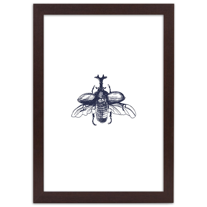 Beetle Insect - Single Picture Frame Print, 100cm H x 70cm W, Brown