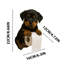 Papier hygiénique pour chien Hundepapierhalter-147144122
