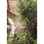 Babken Metal Plant Support-898401542-898401545