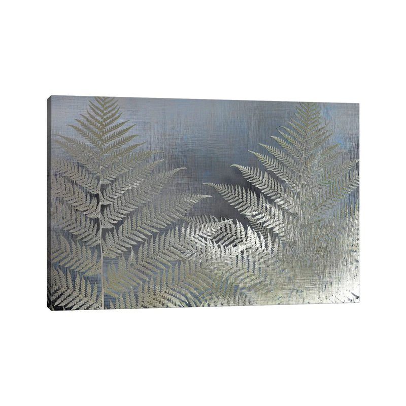 Frosted Ferns by Kimberly Allen - Wrapped Canvas Gallery-Wrapped Canvas Giclée, 30.48cm H x 45.72cm W