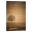 «The Tree at the End of the Patht» par Don Schwartz, reproduction sur toile tendue sur châssis-21487019-72069343-72069344