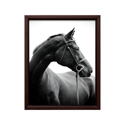 Portrait de cheval n ° 2