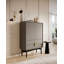 Apolonija Laminate Accent Cabinet-937552076