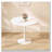 Round MDF Top Dining Table-148557776-148557791-148557778
