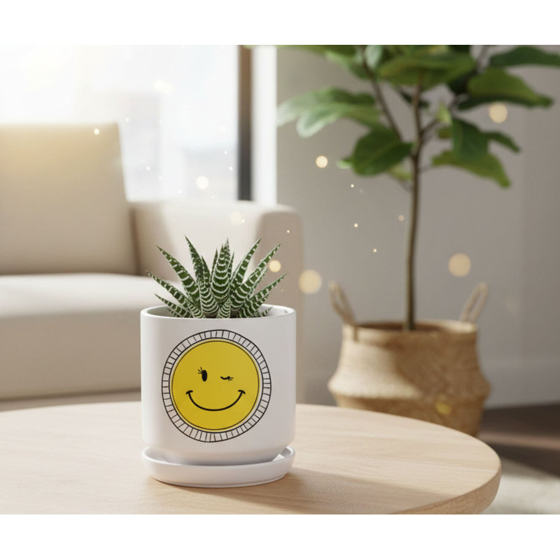 Pot de fleurs souriant