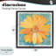 Cadre urbain Urban Daisy sur graffiti, design par Porter Hastings-306086833-306086830