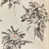 Koi/Vine Black selected
