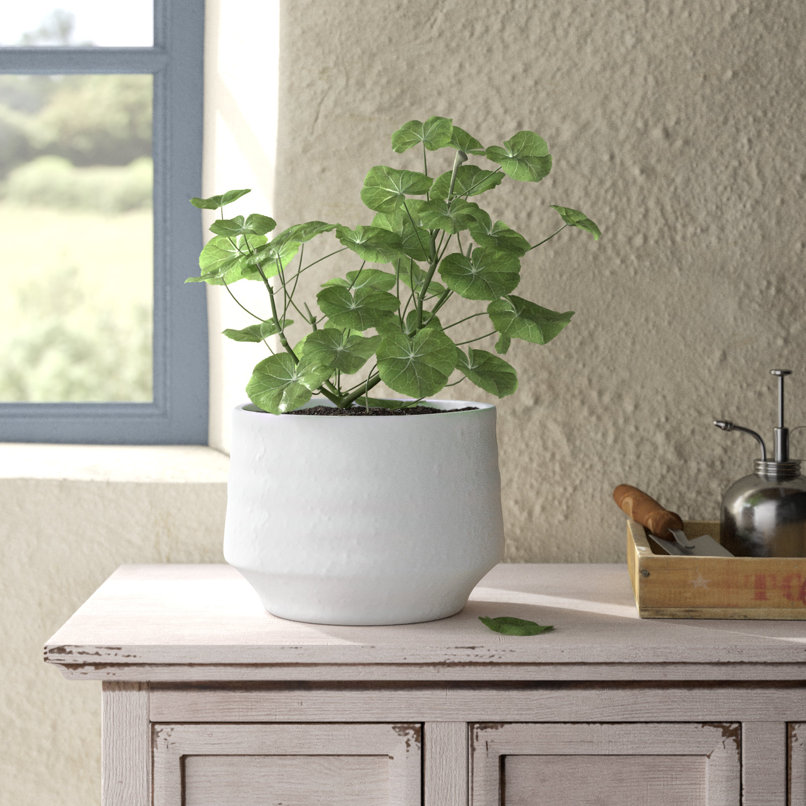 Canella Pot Planter, 6" H x 7.5" W x 7.5" D