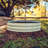 8" Tall 36" Wide Round Metal Outdoor Raised Garden Bed-113790945