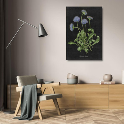 Red Barrel Studio® Wild Apple Portfolio Gallery Wrapped Canvas Art Titled: Botanical on Black Chart VII