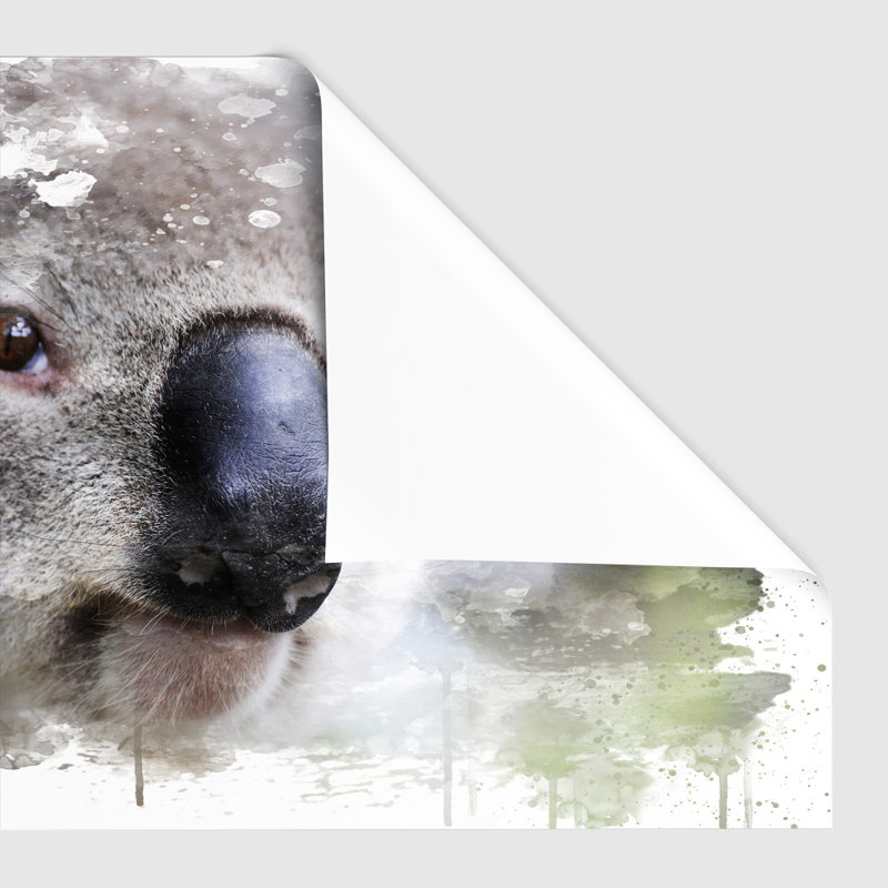 Koala Bear - Frameless Print, 42cm H x 59.4cm W