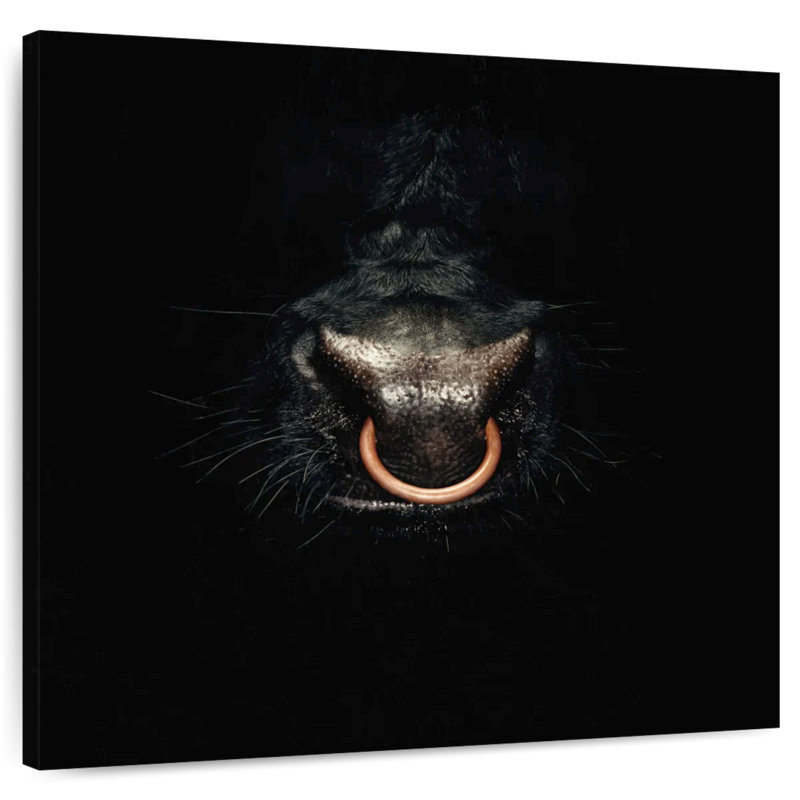 Anneau Crowle Bull, H 10 po x l 10 po
