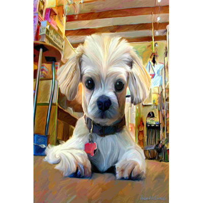 Mazel Dog
