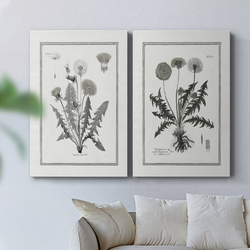 Toile tendue avec pissenlit I-Premium Gallery - prête à être accrochée, H 36 po x l 48 po