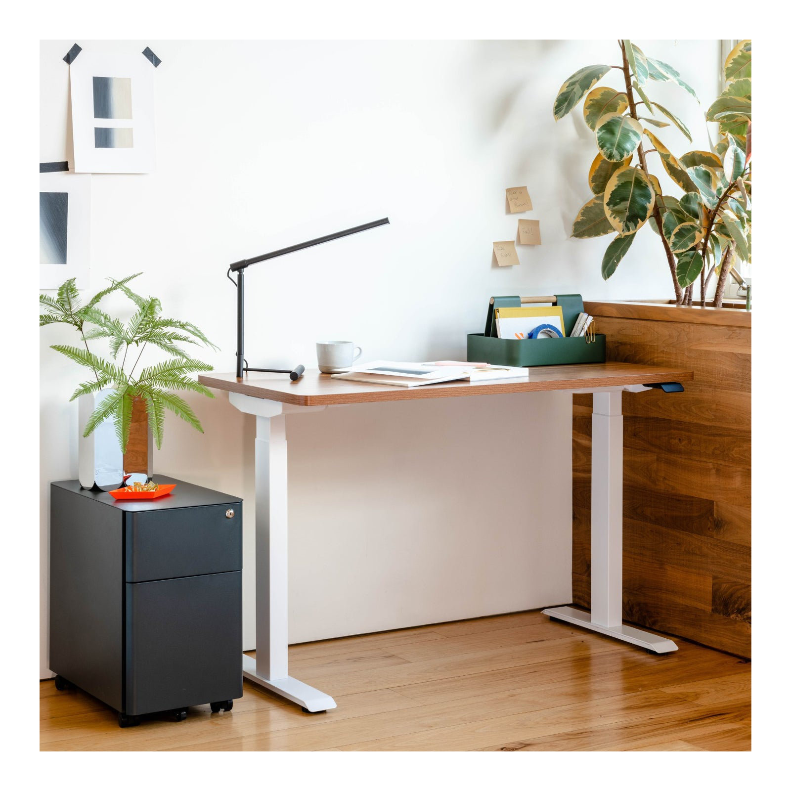 Duo Standing Desk, 47.3" H x 48" W x 24" D, Walnut, White