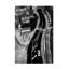 Art sur toile «bolle Filipe P Neto»-109321525