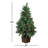 LED Artificial Pine Cone & Berry Pine Tree, 48"H