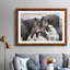 Chevaux sauvages - Photographie avec cadre photo-2049960919-2049960916