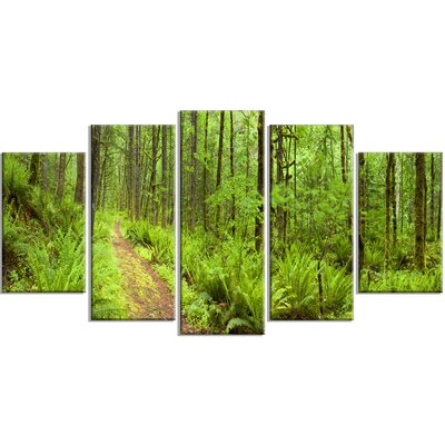 Lush Forest Path Columbia River' 5 Piece Wall Art on Wrapped Canvas Set -  Design Art, PT11137-373