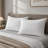 Polyester Pillow Protector-130901549