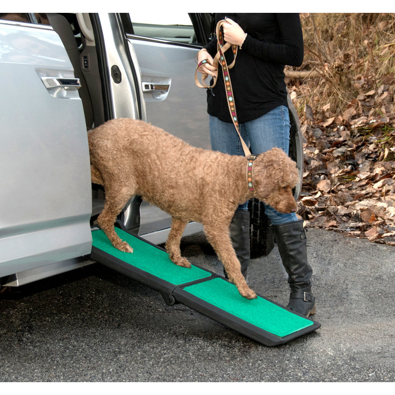Portable Black and Green Bi-Fold Pet Ramp with Supertrax