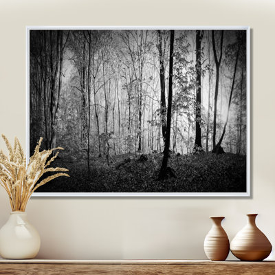 «Beautiful Forest Morning Panorama», reproduction